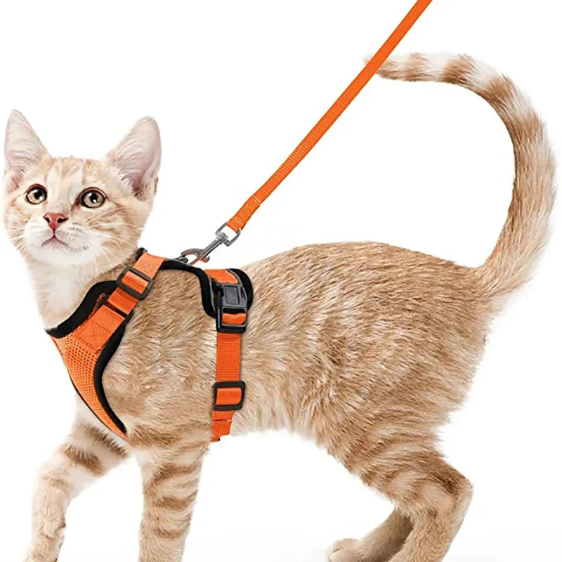 harnais chat - SecureCat™