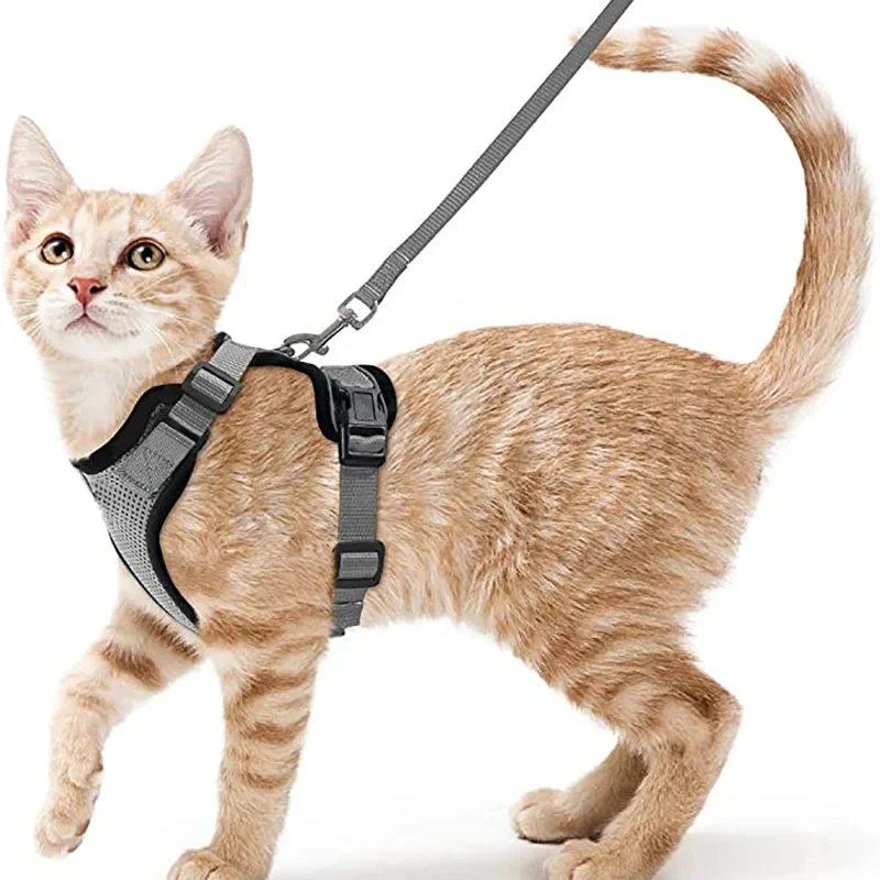 harnais chat - SecureCat™