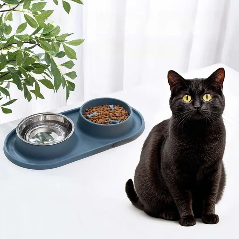 gamelles anti glouton chat double