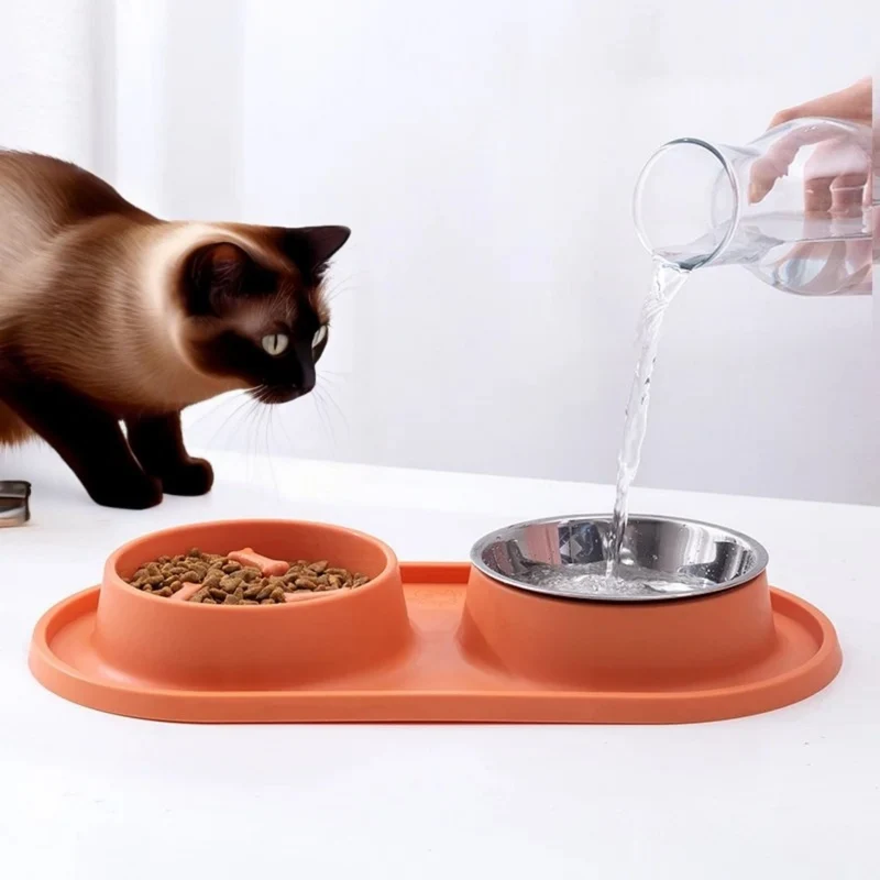 gamelles anti glouton chat double