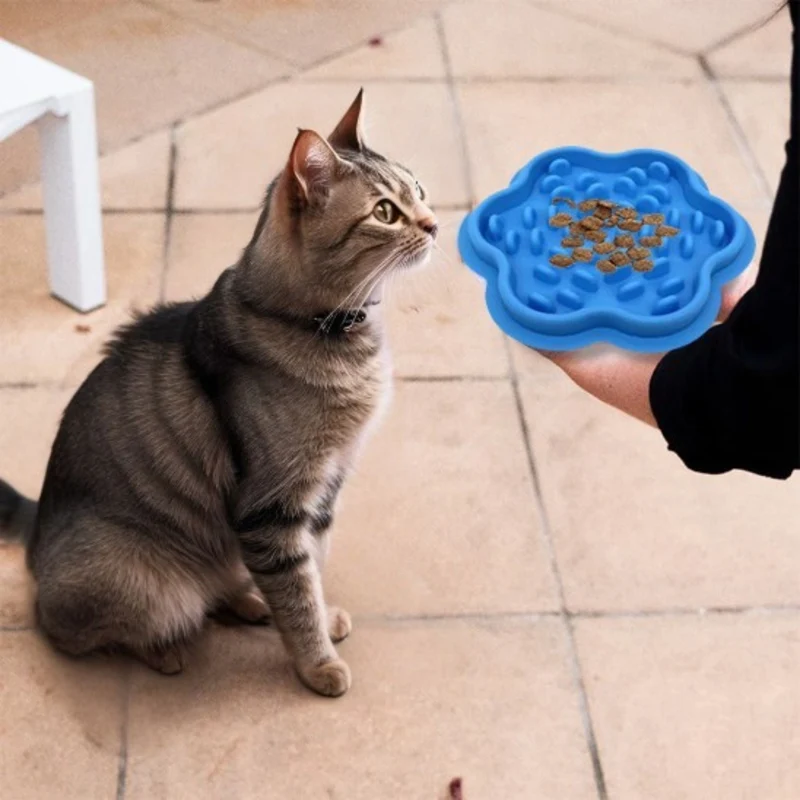 gamelle anti-glouton chat | Miam Modéré