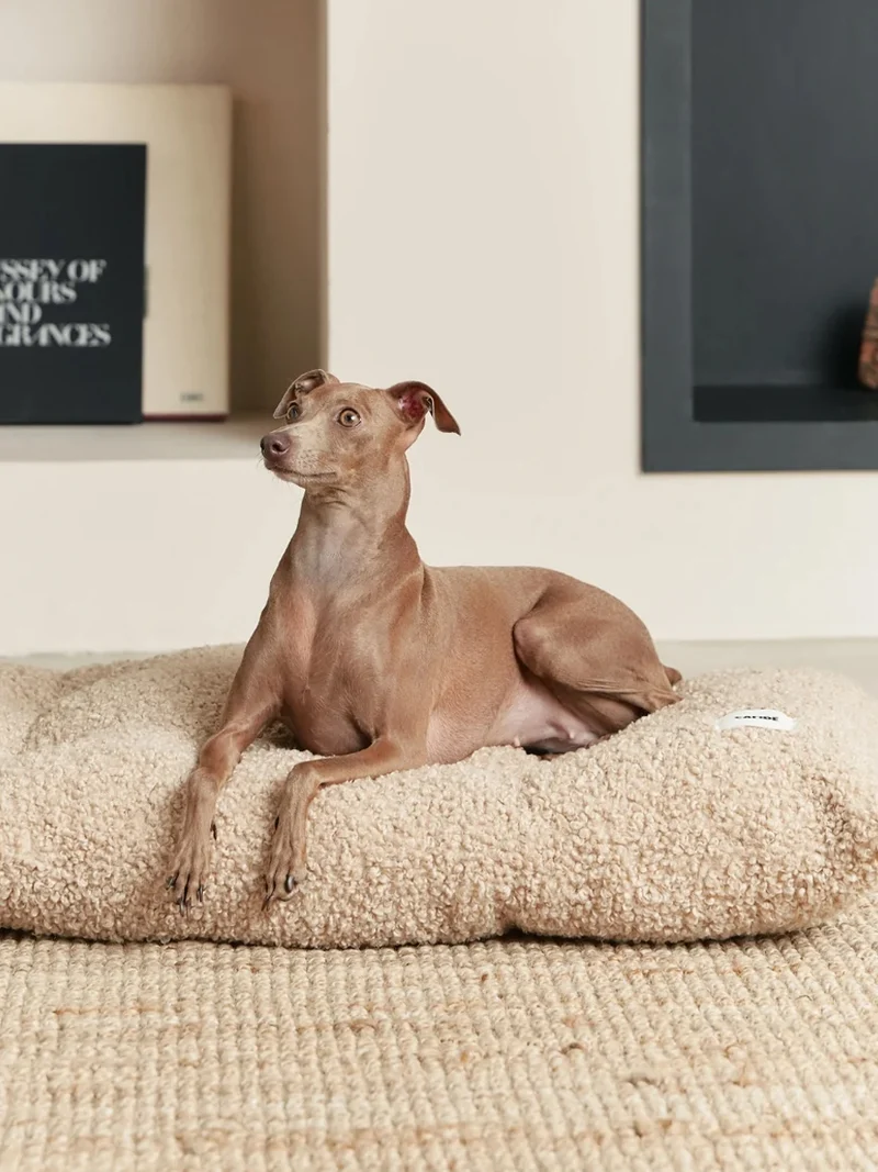 Coussin pour chien Bela - Bouclette beige - Cafide