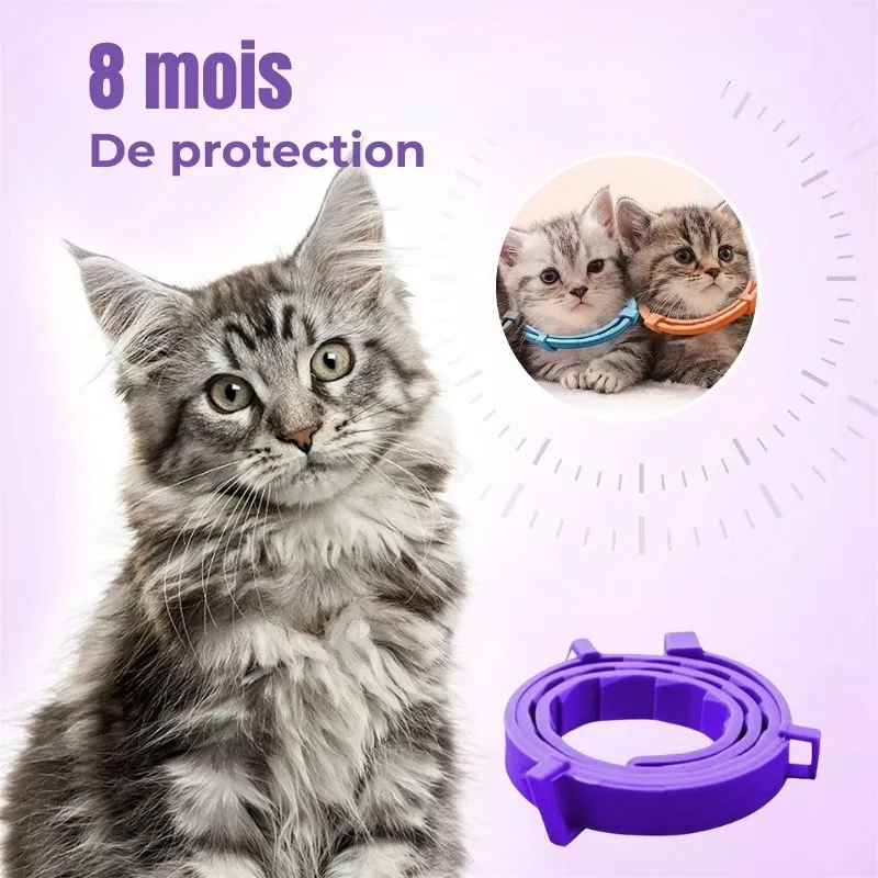Collier anti puce chat - 8 Mois de Protection