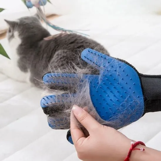 Gant de toilettage