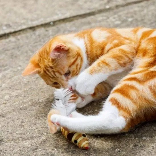 Jouet chat - Souris en sisal