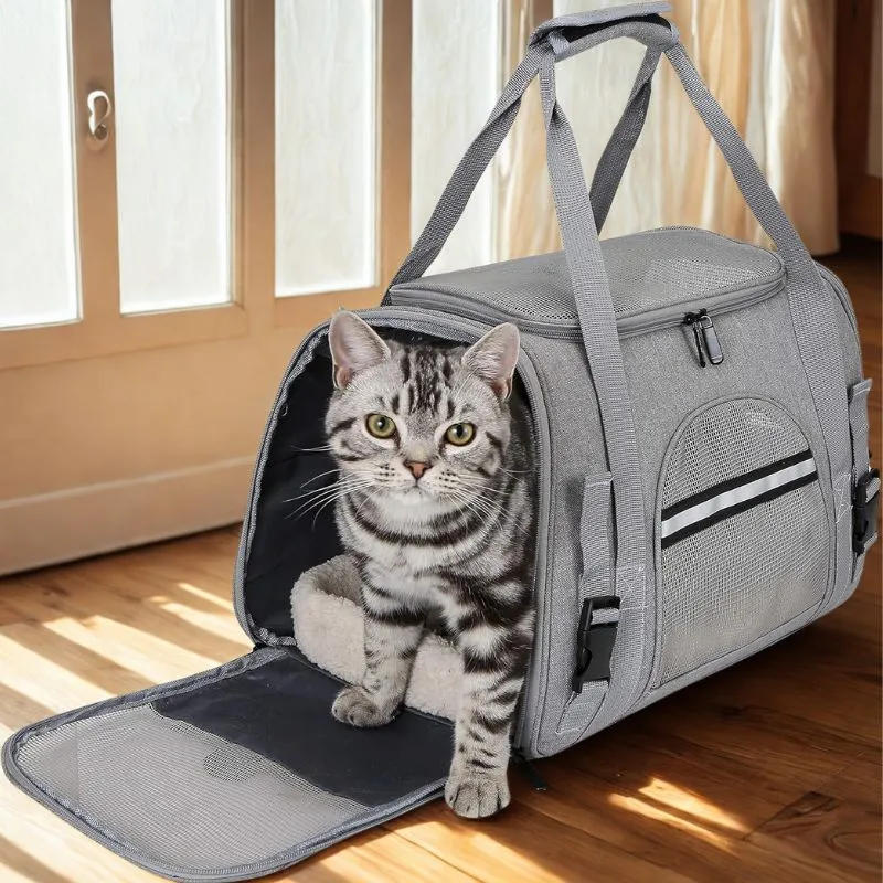 Sac transport chat - Confortable