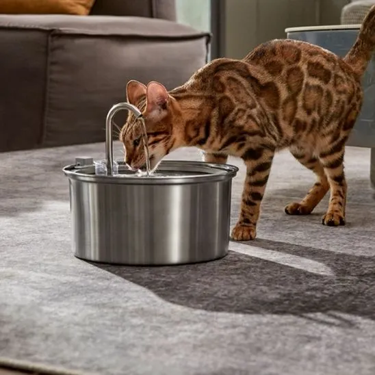 Fontaine à eau chat - Inox et Grande Capacité Flux'deau