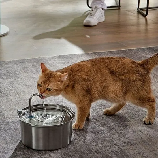 Fontaine à eau chat - Inox et Grande Capacité Flux'deau