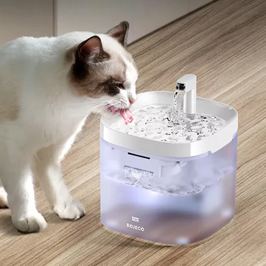 Fontaine pour chat - ROJECO