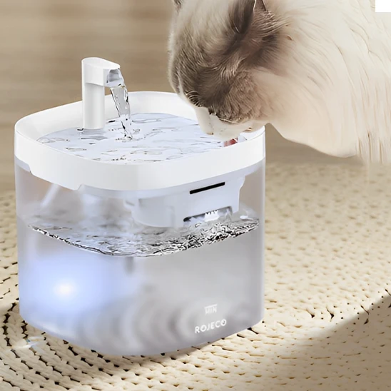 Fontaine pour chat - ROJECO
