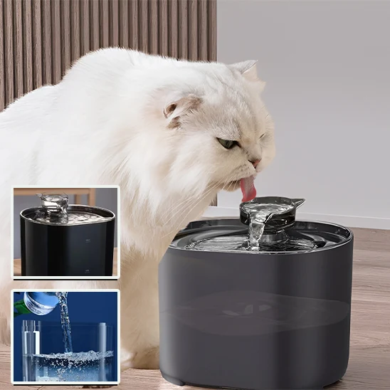 Fontaine eau pour chat - HydraCat™
