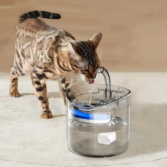 Fontaine à eau chat - Fleur d'Eau™ Silencieuse & Ergonomique