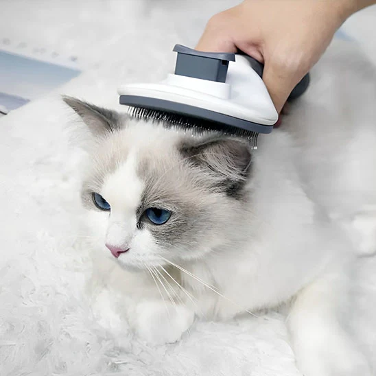 Brosse pour chat - Autonettoyante