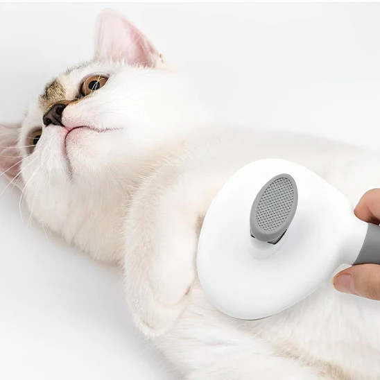 Brosse pour chat - Autonettoyante