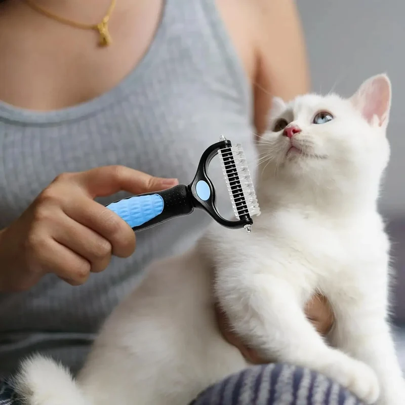 Brosse chat poil long
