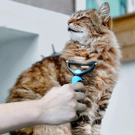 Brosse chat poil long