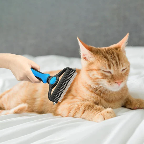 Brosse chat poil long
