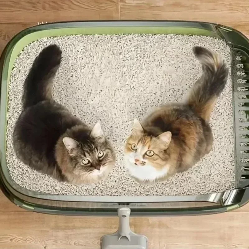 Bac à litière chat - Semi-ouvert