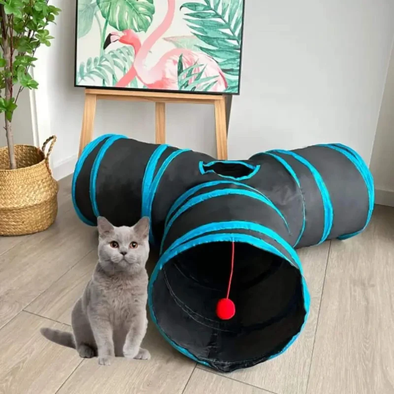 tunnel pour chat | Curieux Tunnel