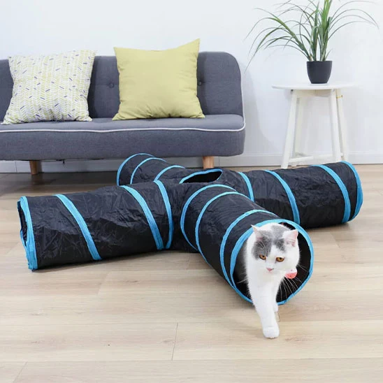 tunnel pour chat | Curieux Tunnel