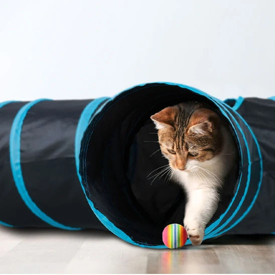 tunnel pour chat | Curieux Tunnel