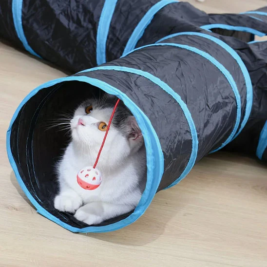 tunnel pour chat | Curieux Tunnel
