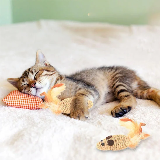 jouet souris pour chat | Zigzag