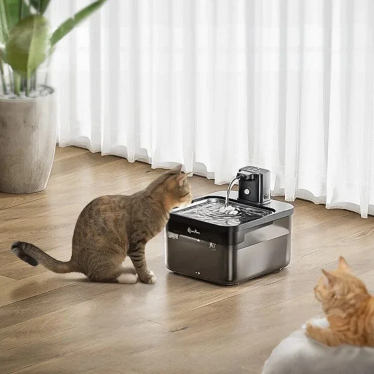 Fontaine à eau chat sans fil avec capteur - Paws