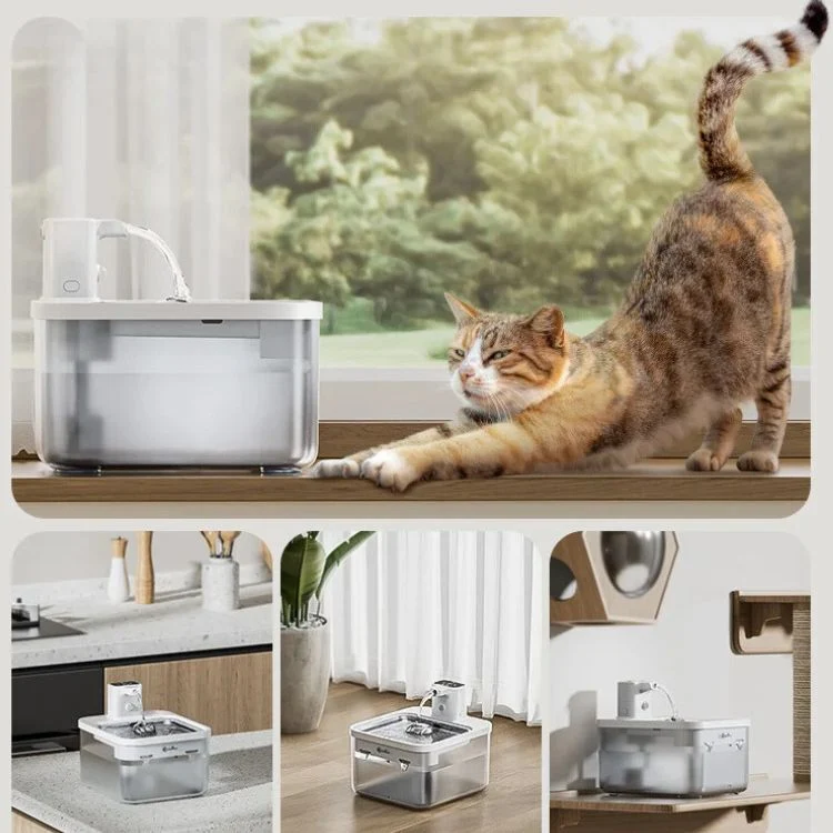 Fontaine à eau chat sans fil avec capteur - Paws