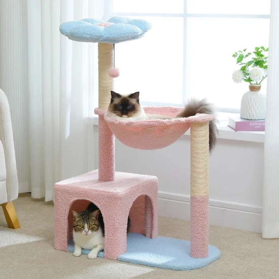 arbre a chat fleur - le jardin floral