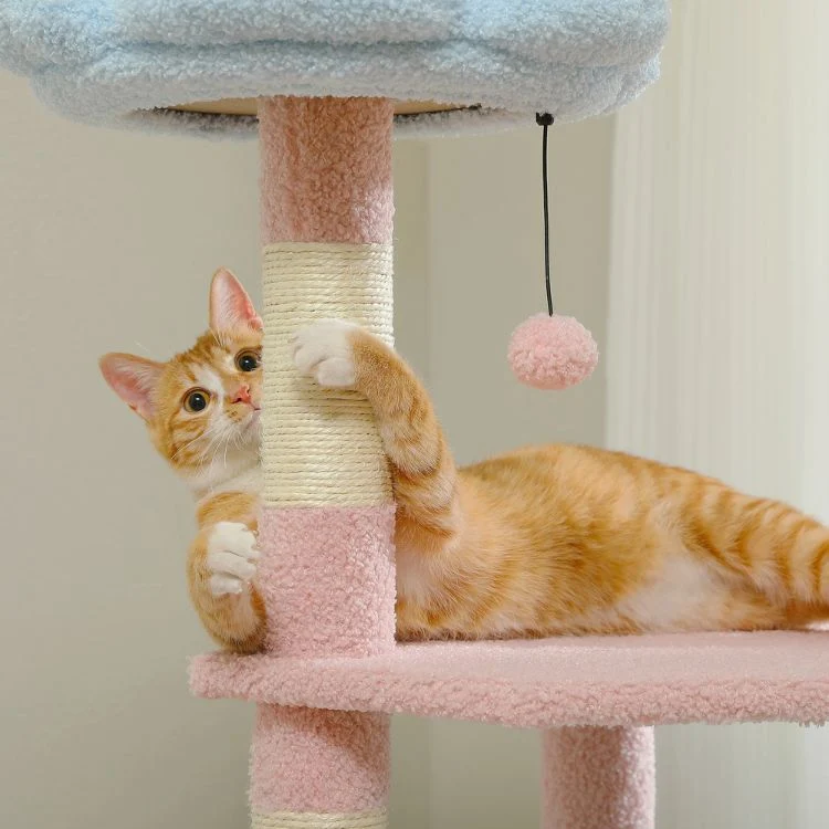 arbre a chat fleur - le jardin floral