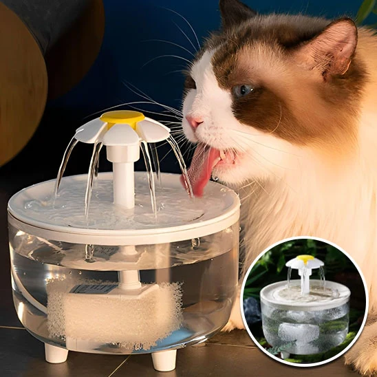fontaine eau chat - Petal'eau