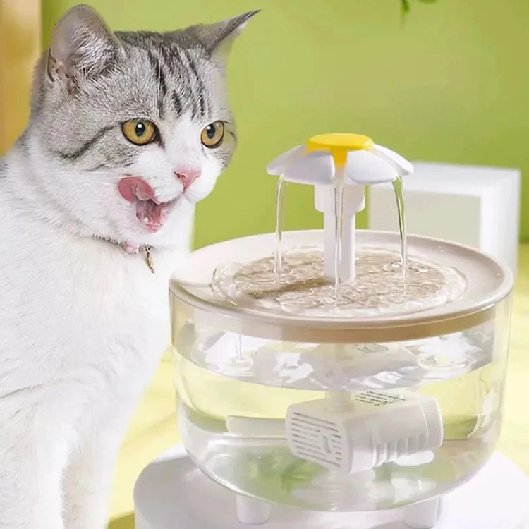 fontaine eau chat - Petal'eau