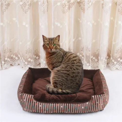 panier chat rayé