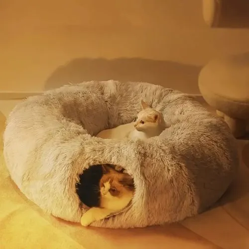 panier chat tunnel