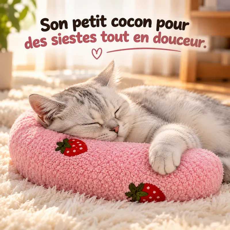 Oreiller pour chat - Confort moelleux | CozyPillow