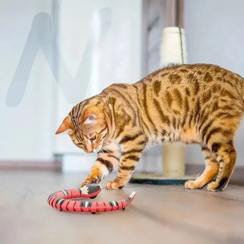 Jouet serpent pour chat - Mouvement réaliste | SnakePlay