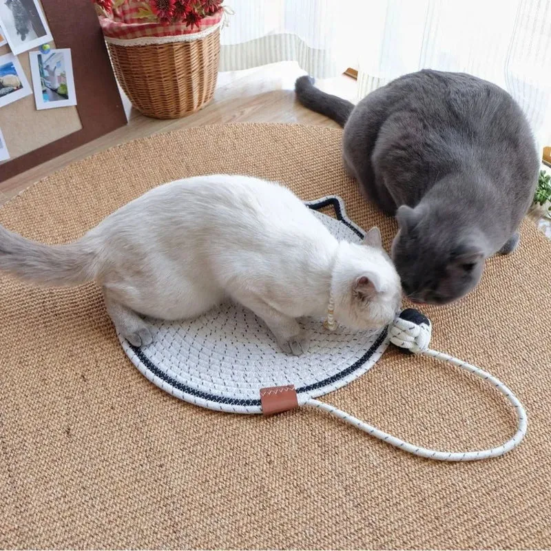 Tapis griffoir chat - Pour Sol et Mur