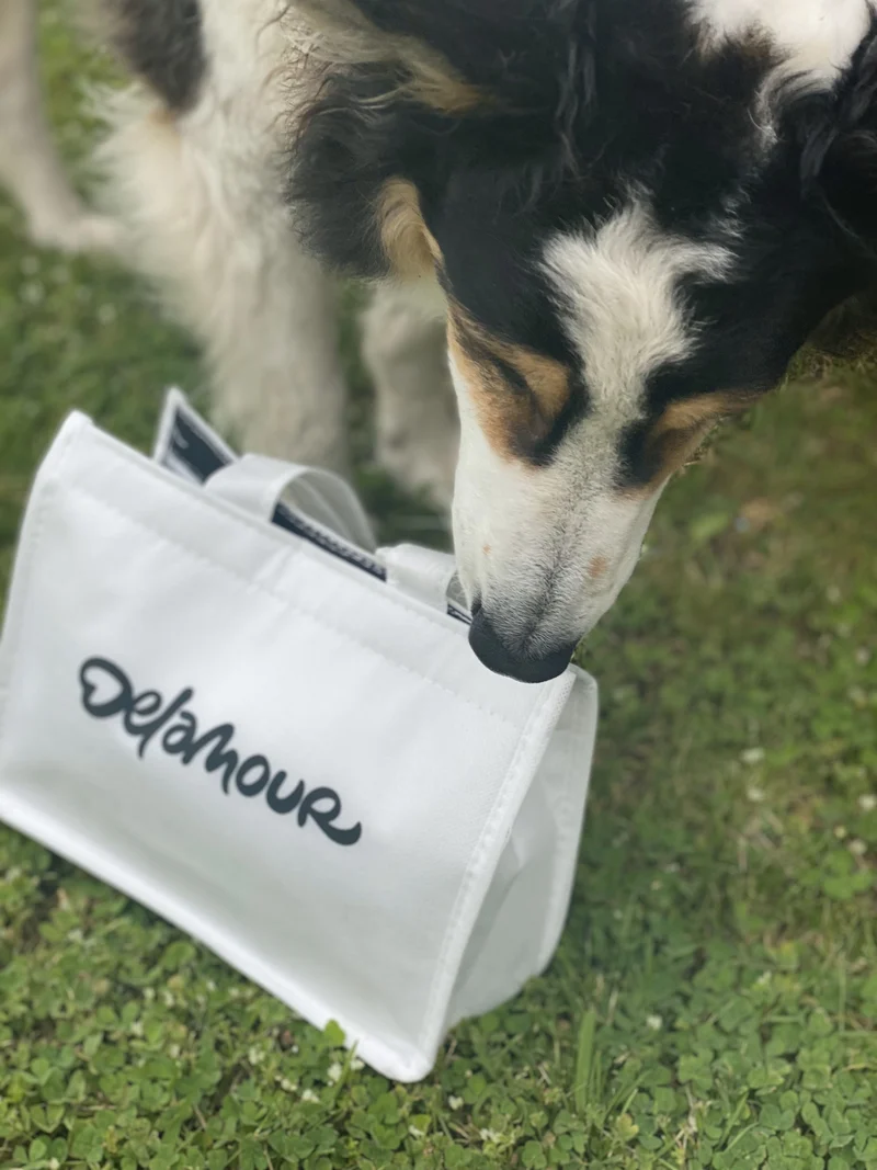 Sac isotherme Glaces Delamour pour chiens