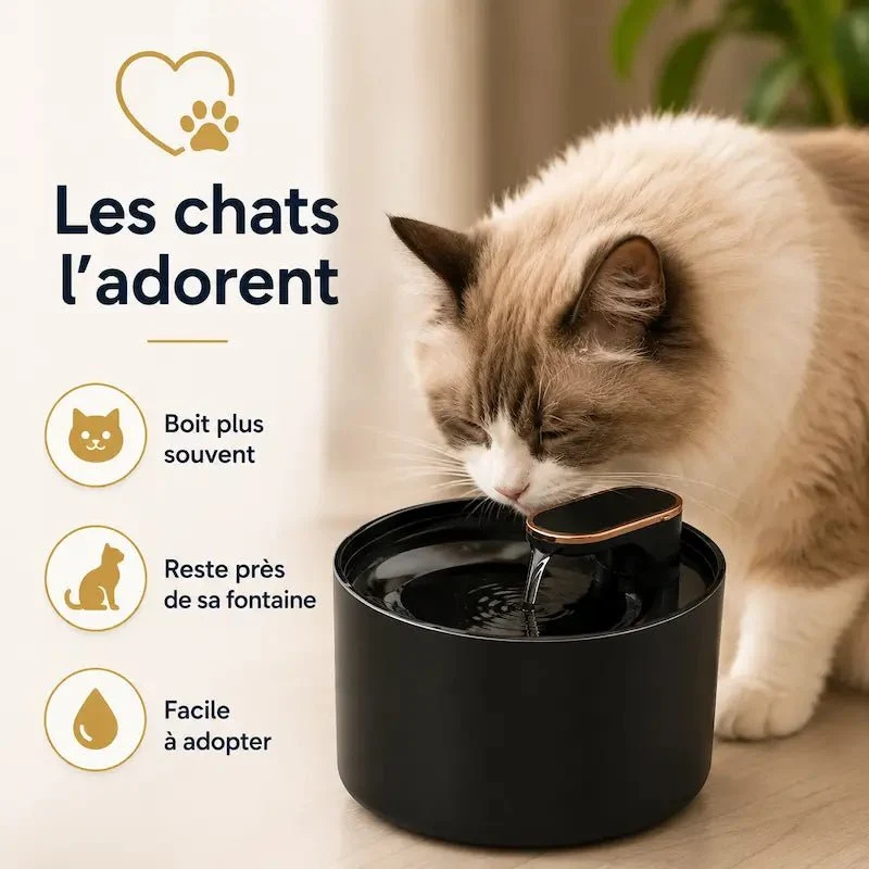 Fontaine à eau chat 3L - Autonomie optimale | MidFlow