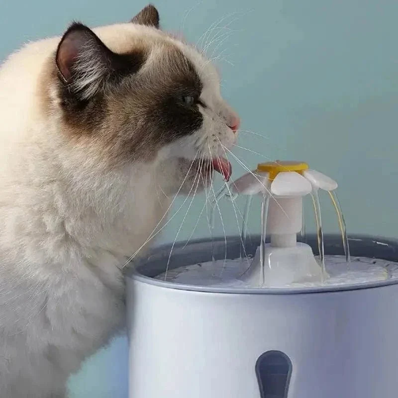 Fontaine à eau chat fleur - Jet en pétale | PetalFlow
