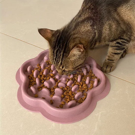 Gamelle anti-glouton chat - SlowFeast
