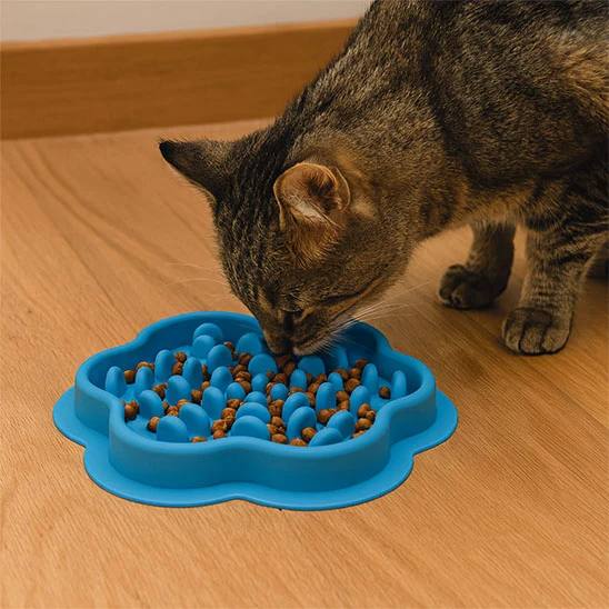 Gamelle anti-glouton chat - SlowFeast