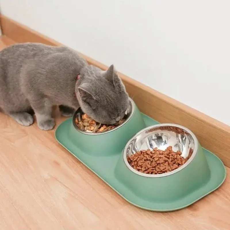 Gamelle pour chat - Anti Renversement
