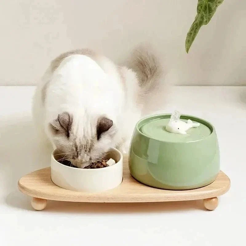 Fontaine à eau céramique chat - Design & pureté | CeramiFlow