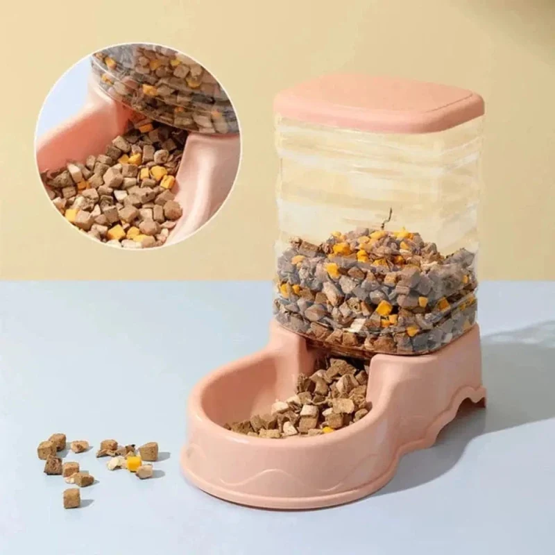 Gamelle chat distributeur automatique - Repas réguliers | CatTimer