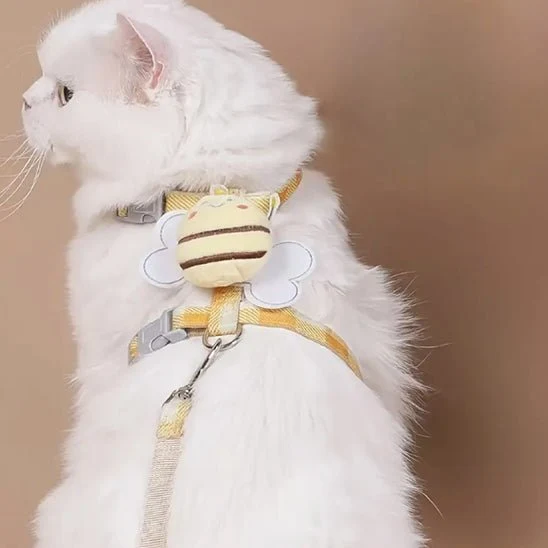 Harnais chat - Look mignon d'abeille