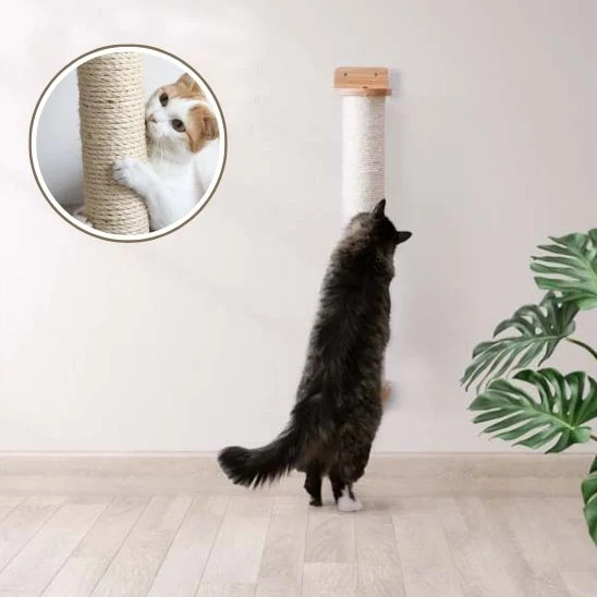 Griffoir pour chat - Poteau mural