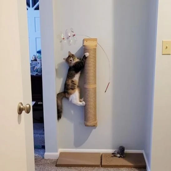 Griffoir pour chat - Poteau mural