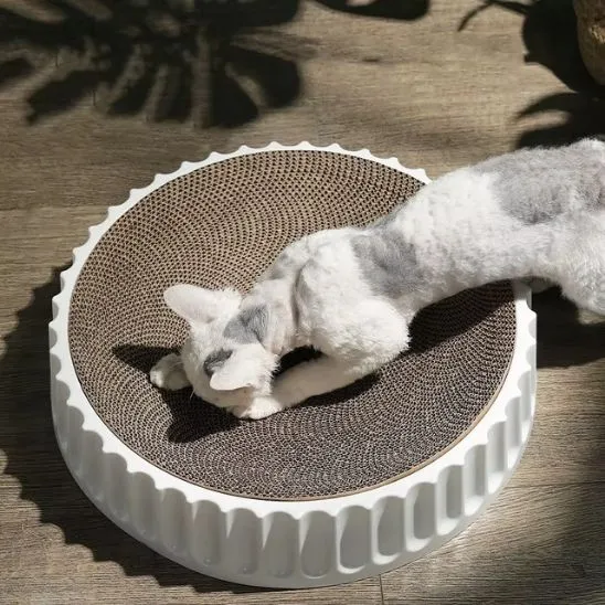 Griffoir rond chat - En carton remplaçable